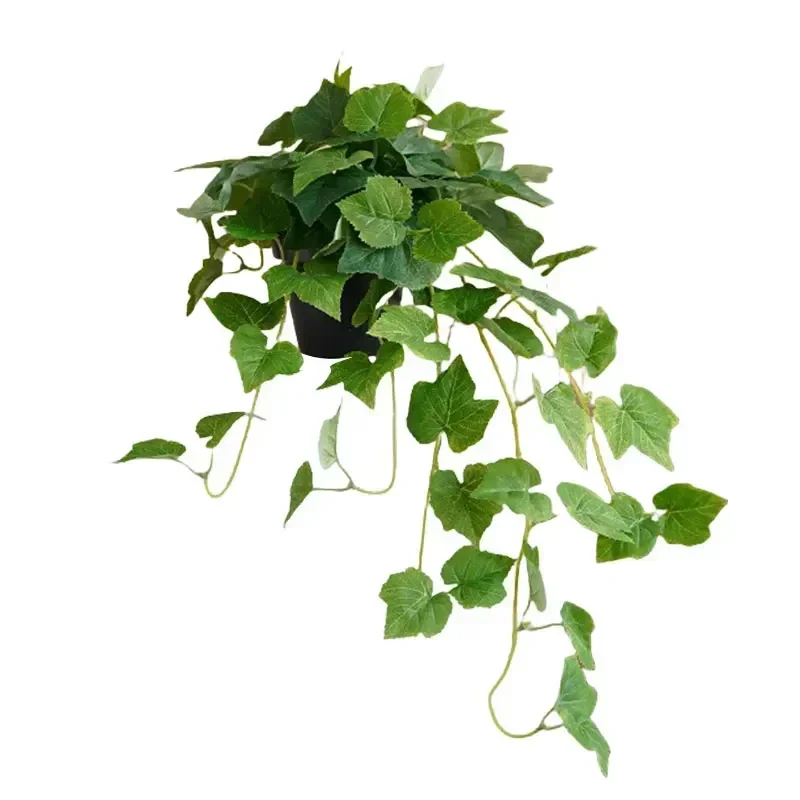 Bonsai Garden Set Up - Garden Decoration Length Is About 70cm