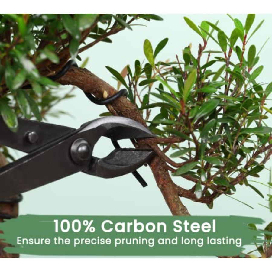 Bonsai Tools Set with Wood Box - Bonsai Tool Set avaliação e preço