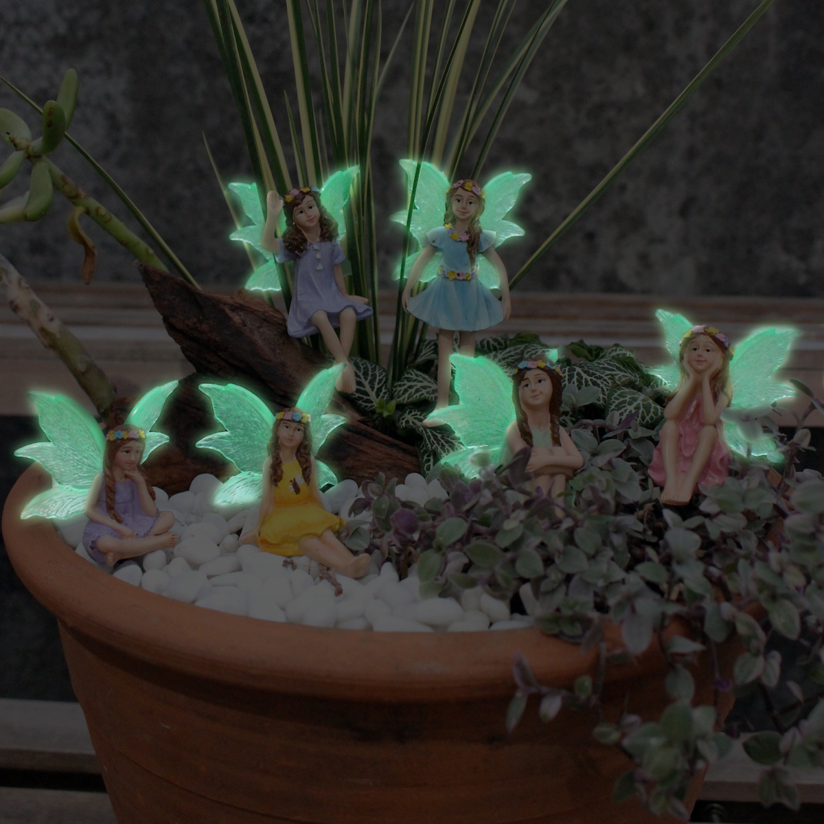 6pc Night Light Wings Flower F - Bonsai Garden World avaliação e preço
