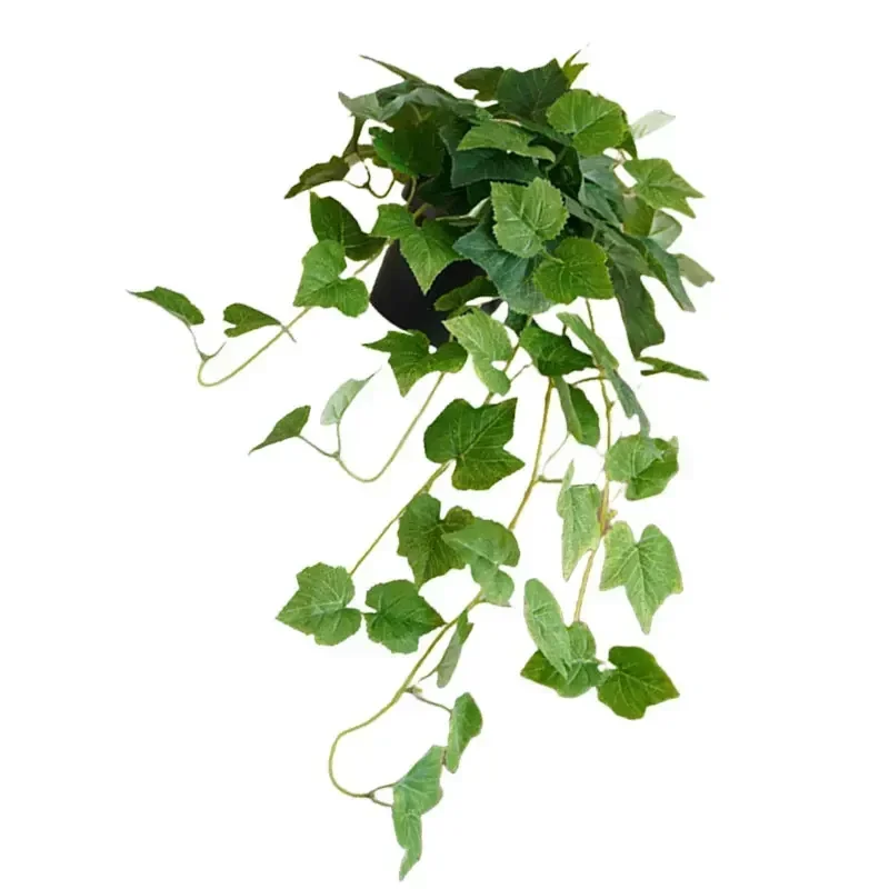 Garden Decoration Length Is Ab - Bonsai Garden Set Up avaliação e preço