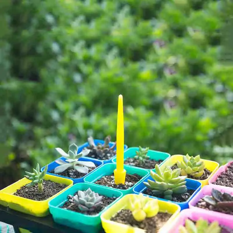 1/10Pcs Sowing Succulents Tran - Bonsai Tool Set avaliação e preço