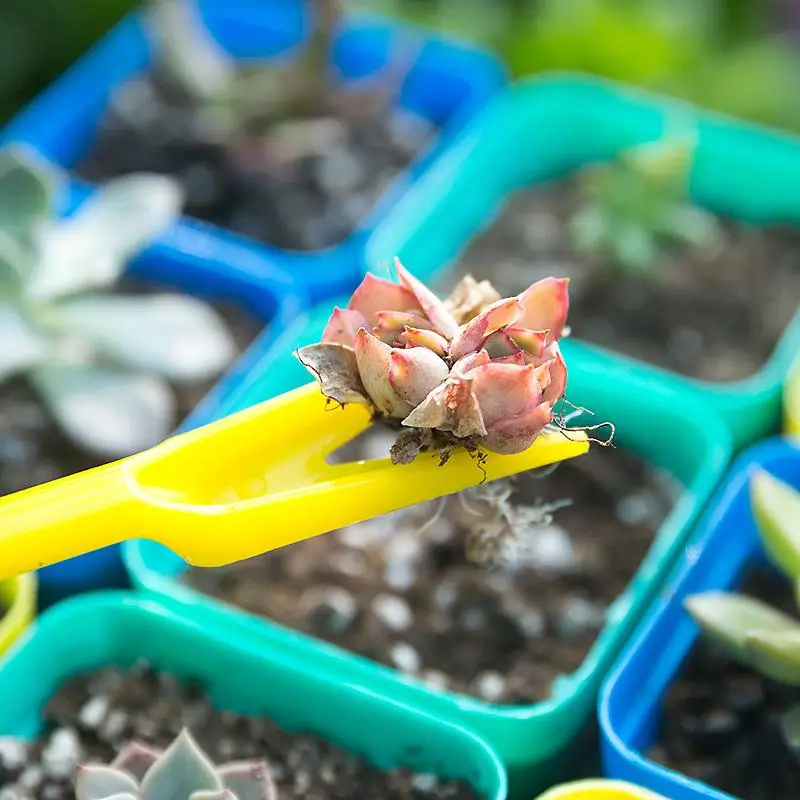 1/10Pcs Sowing Succulents Tran - Bonsai Tool Set avaliação e preço