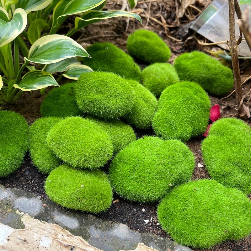 5/30pcs Simulation Moss Stone  - Bonsai Rock Garden avaliação e preço