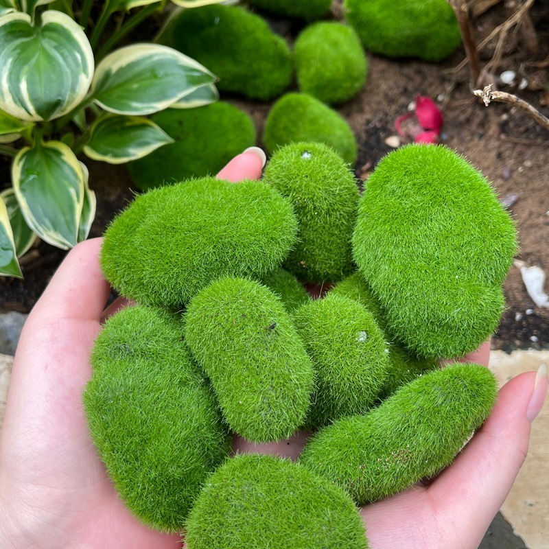 5/30pcs Simulation Moss Stone  - Bonsai Rock Garden avaliação e preço