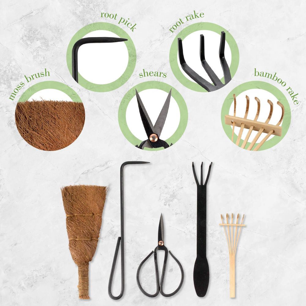 Bonsai Tool Kit 5pc Basic Care - Bonsai Tool Set avaliação e preço