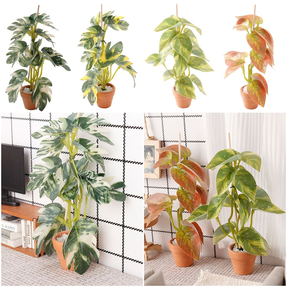 Creative 1:12 Dollhouse Plant  - Bonsai Garden House avaliação e preço