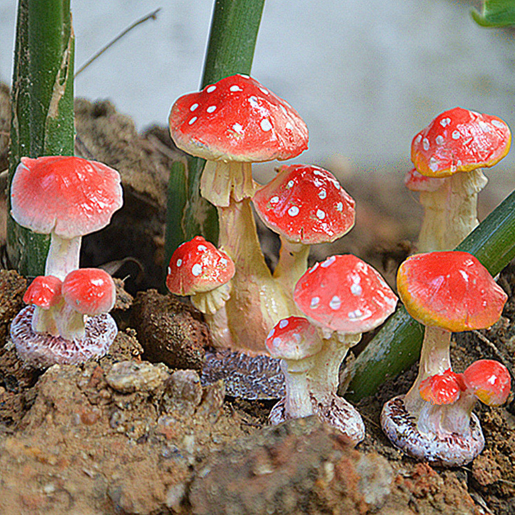 Mushroom Shaped Resin Garden O - Bonsai Garden Set Up avaliação e preço