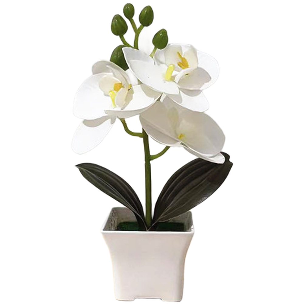 Plastic Phalaenopsis Orchid Fl - Bonsai Garden Set Up avaliação e preço