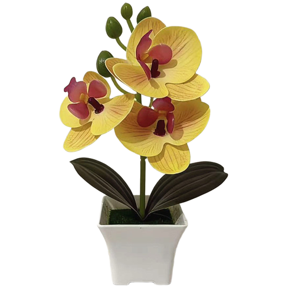 Plastic Phalaenopsis Orchid Fl - Bonsai Garden Set Up avaliação e preço