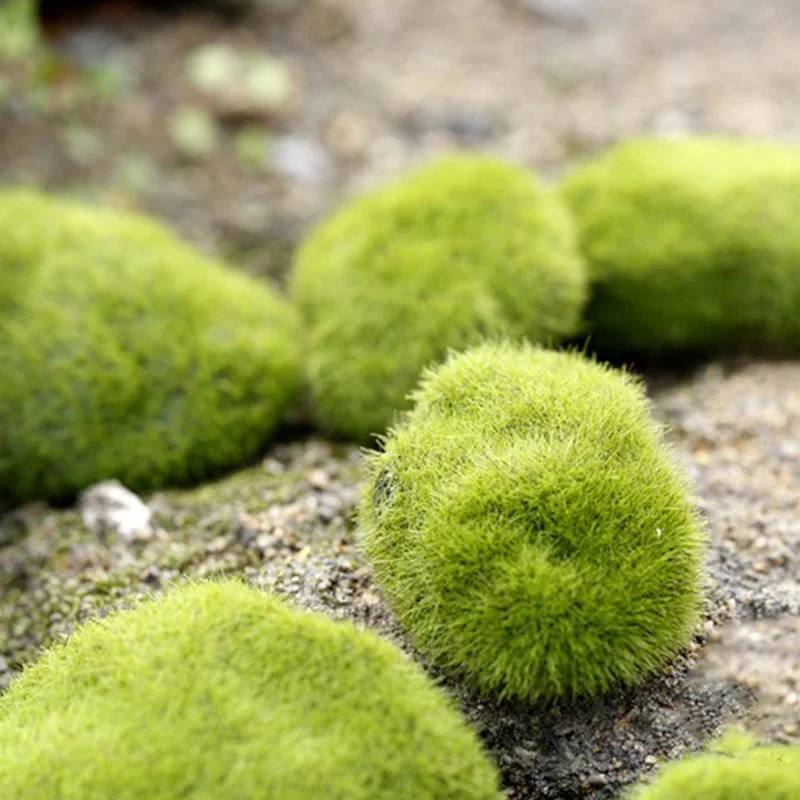 Fake Stone Artificial Moss Roc - Bonsai Rock Garden avaliação e preço