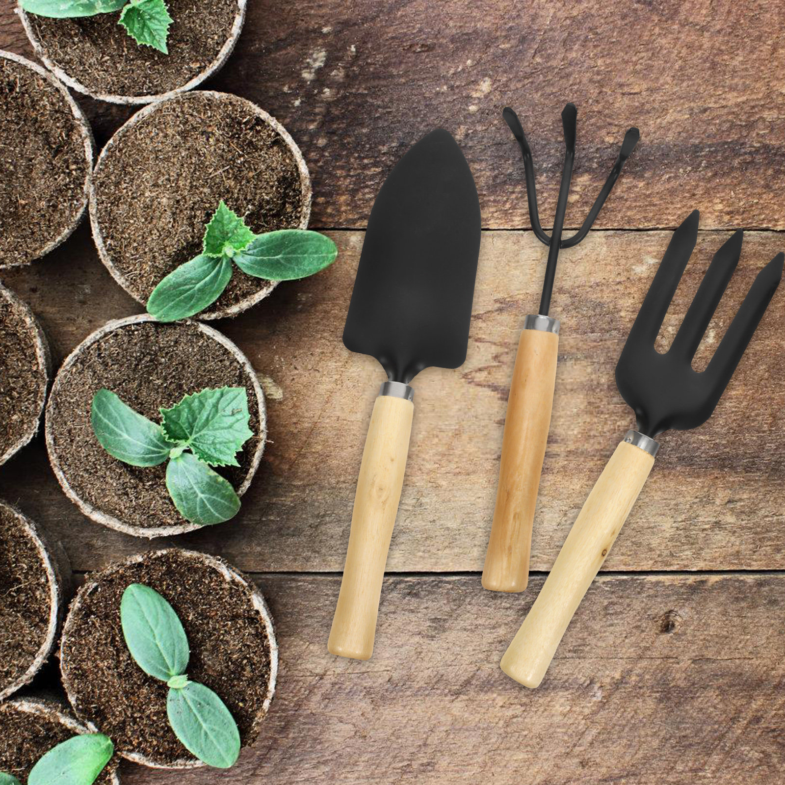 3Pcs Garden Tool Set for Woode - Bonsai Tool Set avaliação e preço