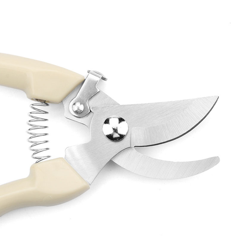 Stainless Steel Garden Scissor - Bonsai Garden World avaliação e preço