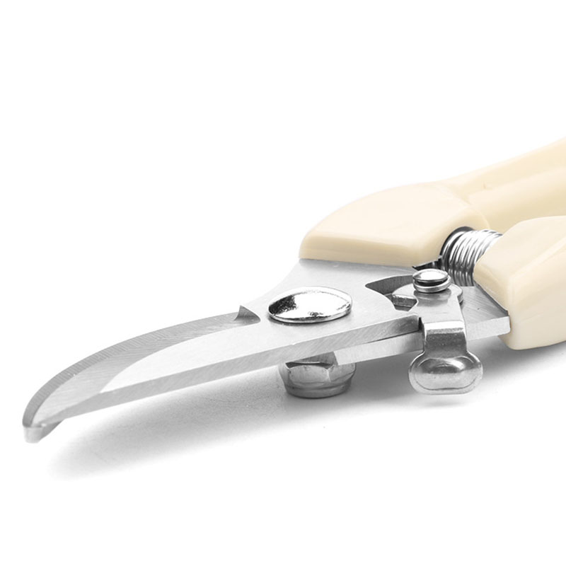 Stainless Steel Garden Scissor - Bonsai Garden World avaliação e preço