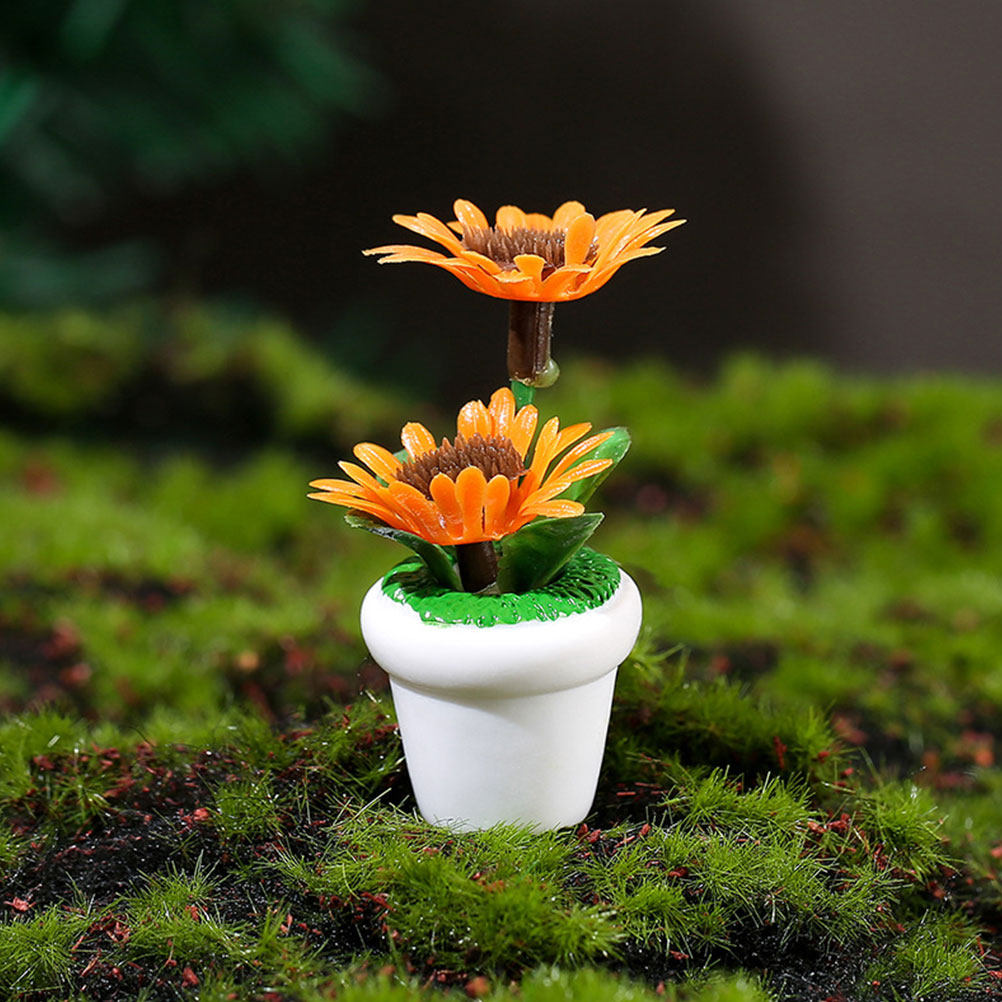 4Pcs Miniature Bonsai Plant Do - Bonsai Garden House avaliação e preço