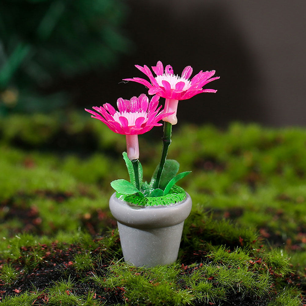 4Pcs Miniature Bonsai Plant Do - Bonsai Garden House avaliação e preço