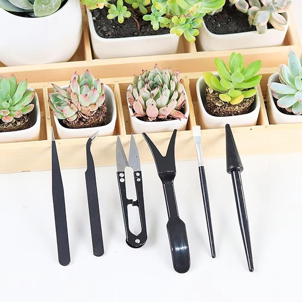 Stainless Steel Garden Planter - Bonsai Tool Set avaliação e preço