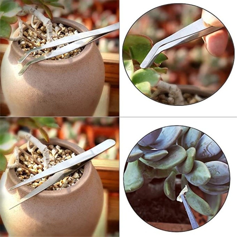 Stainless Steel Garden Planter - Bonsai Tool Set avaliação e preço