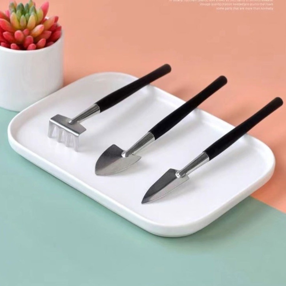 Stainless Steel Garden Planter - Bonsai Tool Set avaliação e preço