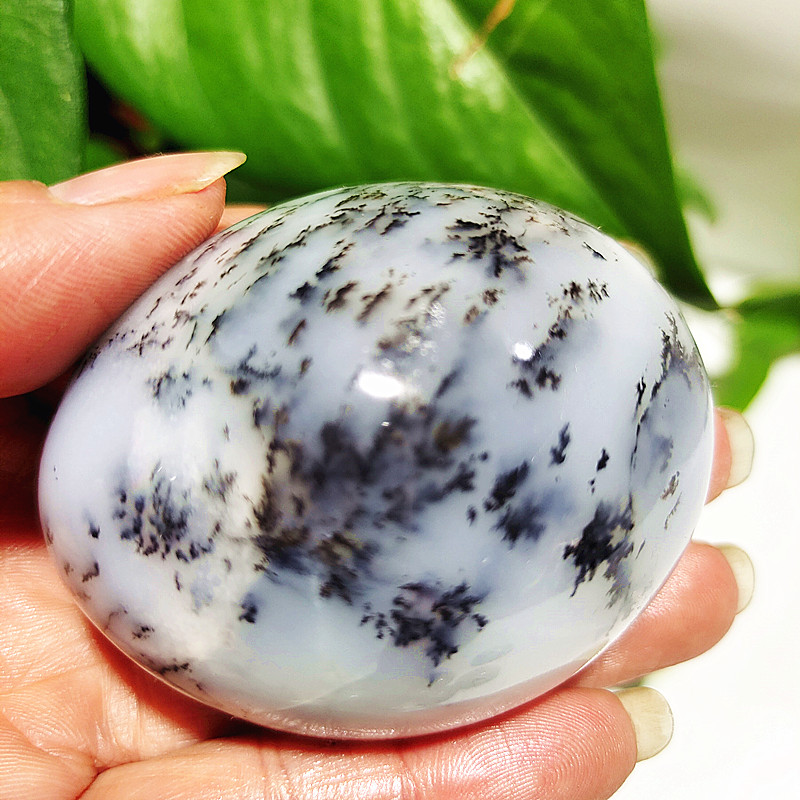 Natural Crystal Dendritic Opal - Bonsai Rock Garden avaliação e preço