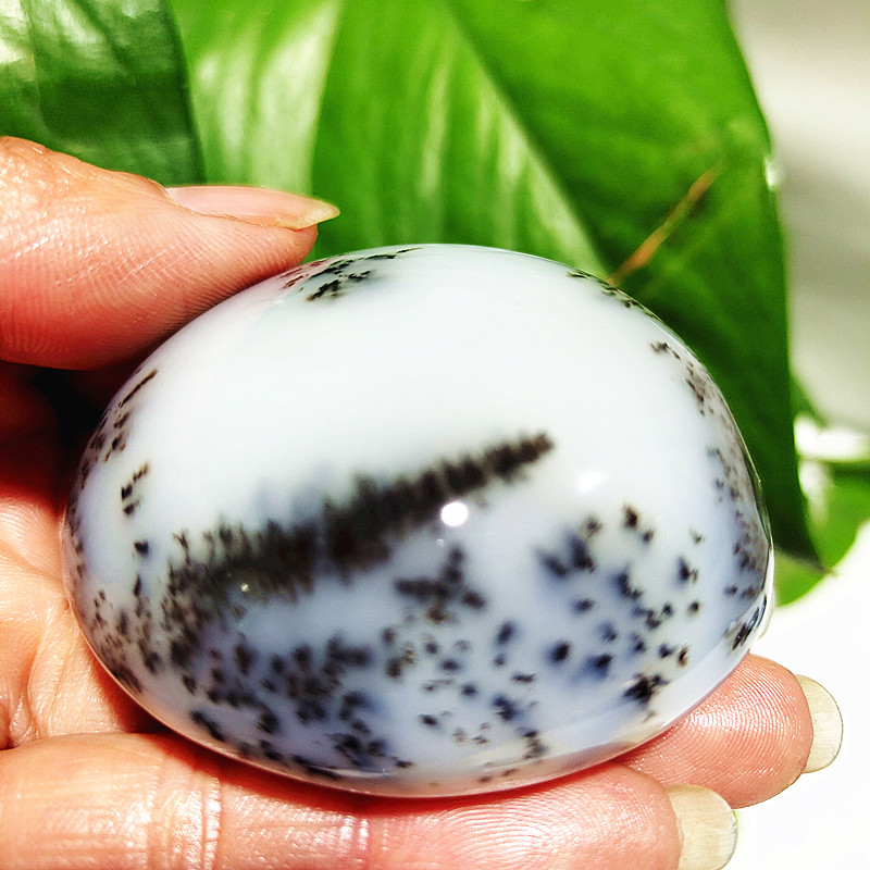 Natural Crystal Dendritic Opal - Bonsai Rock Garden avaliação e preço
