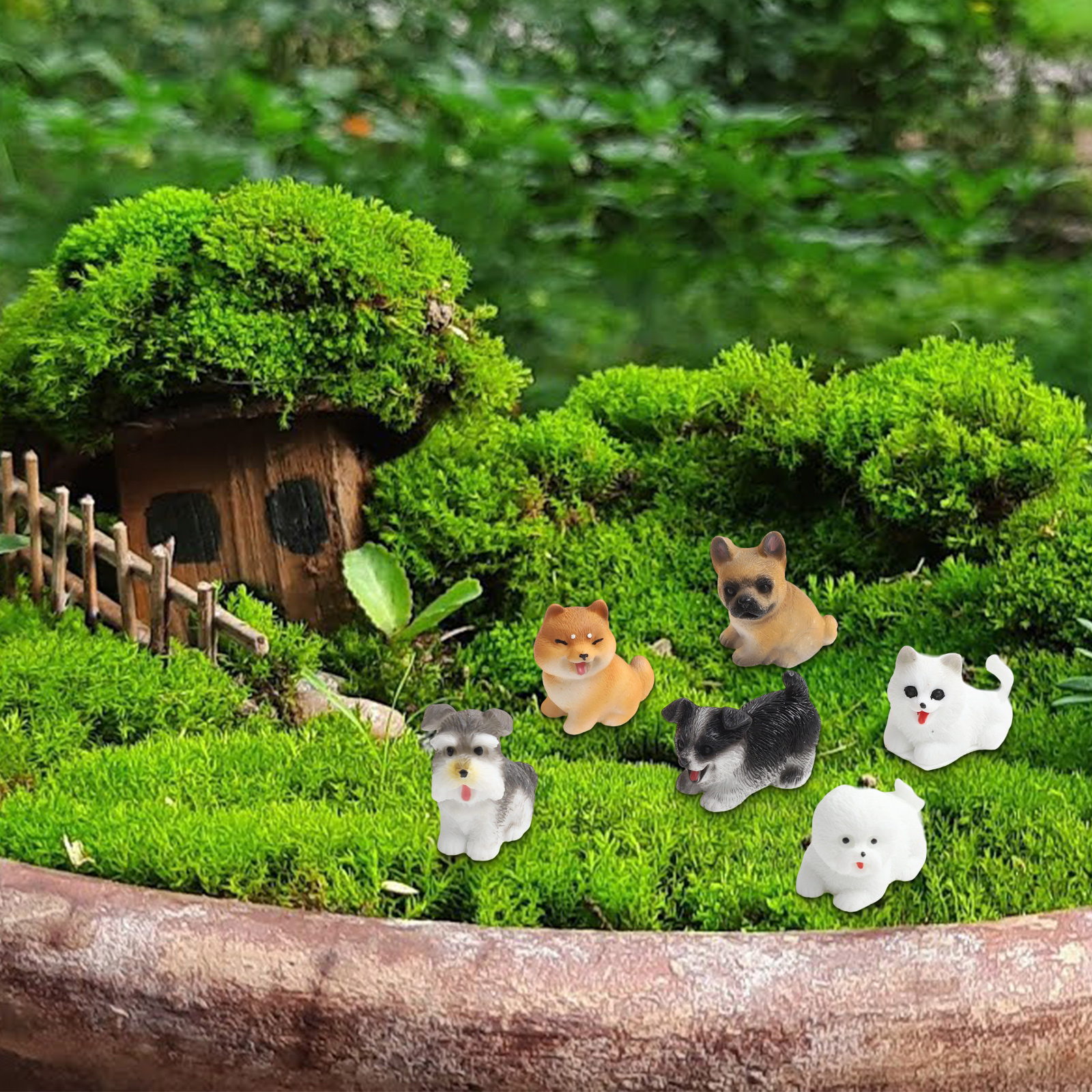 Fairy Garden Decor As Picture  - Bonsai Garden Set Up avaliação e preço