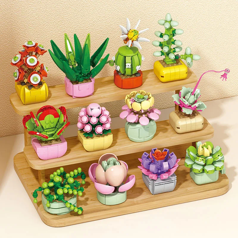 Flowers Succulents Building Bl - Bonsai Garden World avaliação e preço