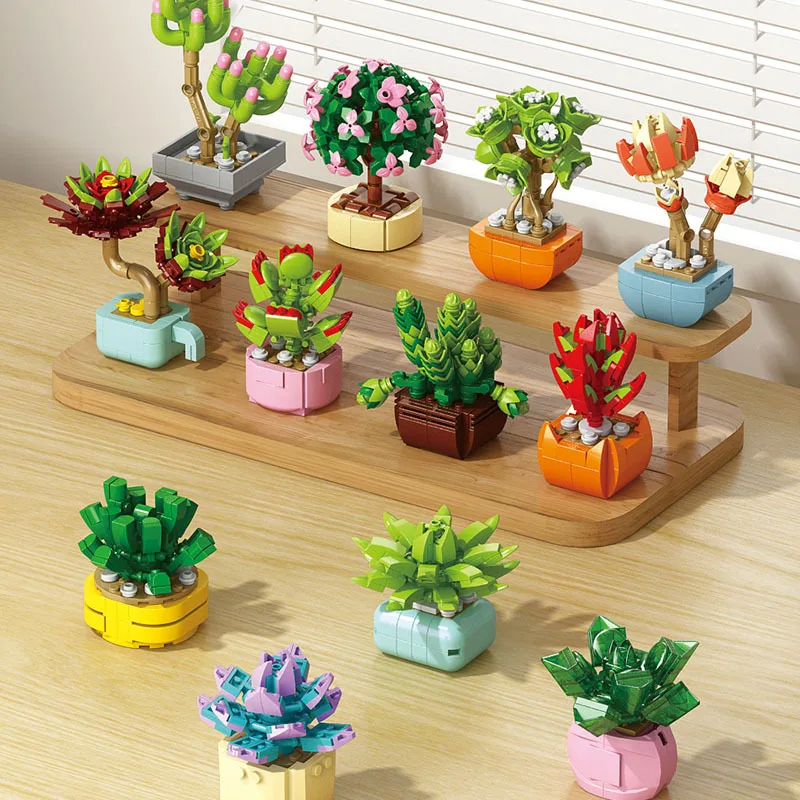 Flowers Succulents Building Bl - Bonsai Garden World avaliação e preço
