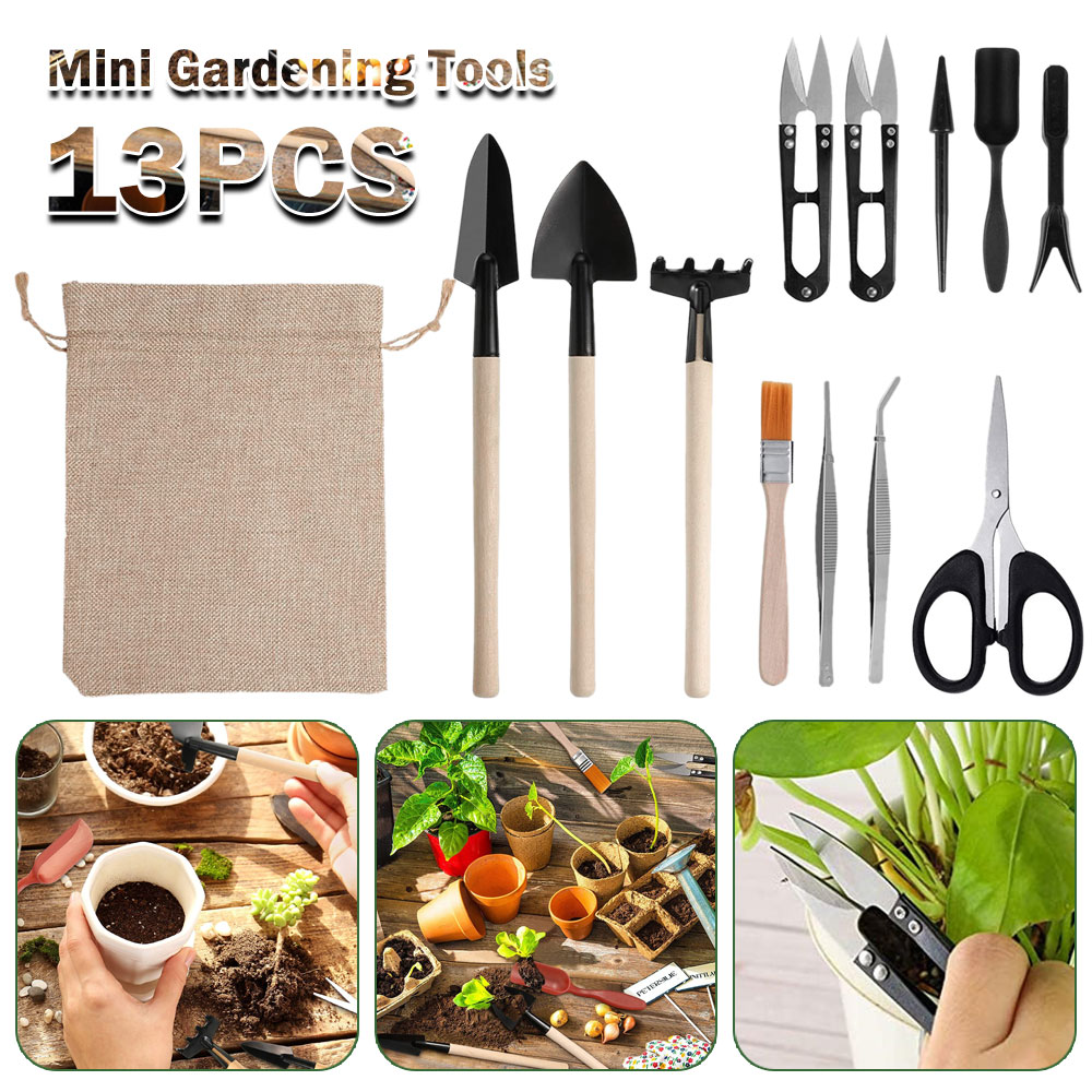 Succulent Plants Tools Mini Ga - Bonsai Tool Set avaliação e preço