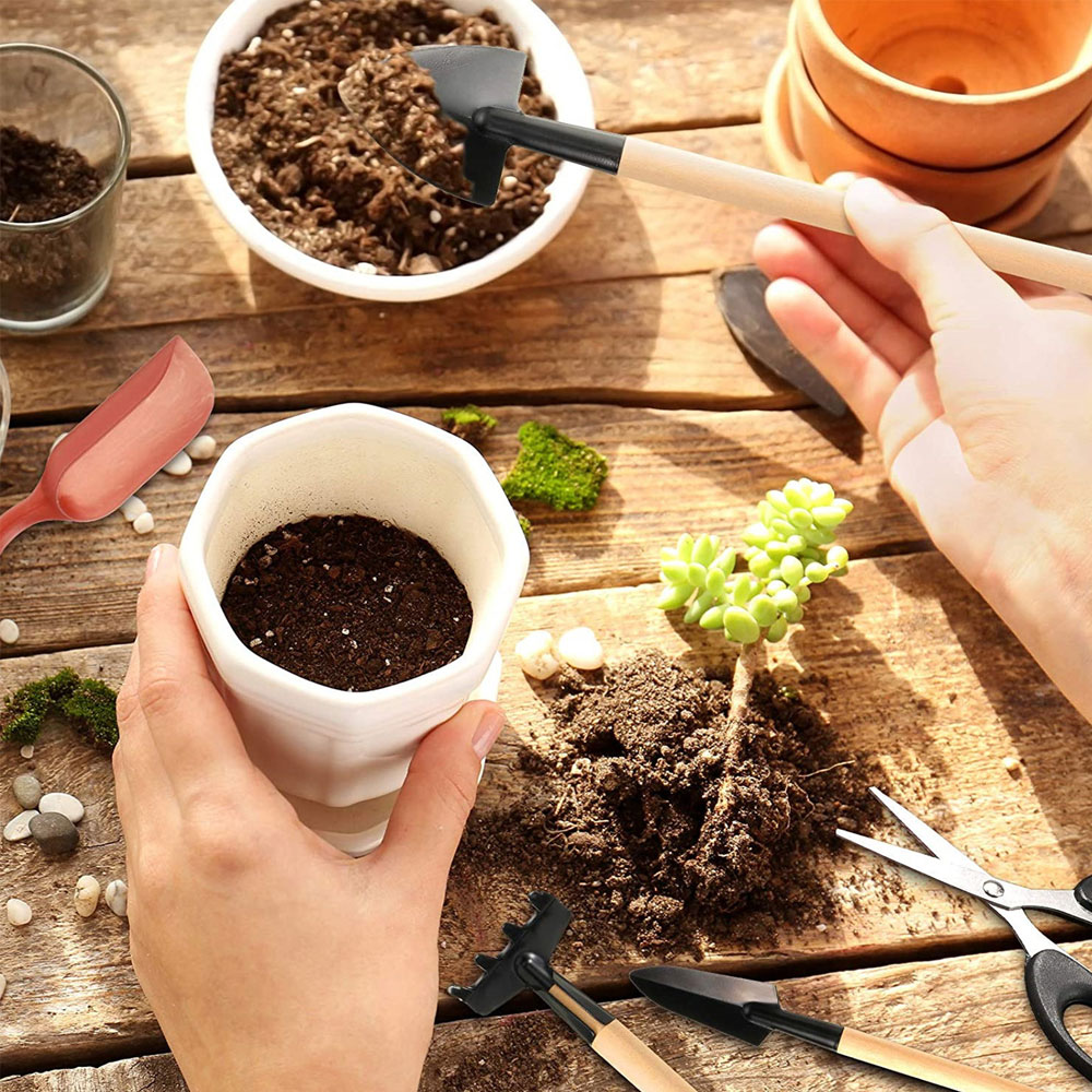 Succulent Plants Tools Mini Ga - Bonsai Tool Set avaliação e preço